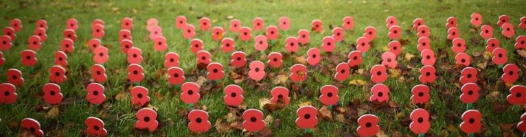 Remembrance Day / Veterans Day