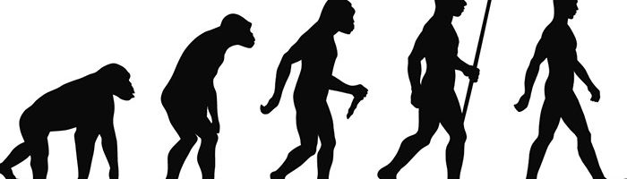 Evolution – the Great Deception